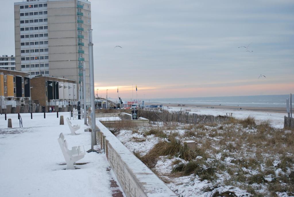 Appartement In Zandvoort Exterior photo